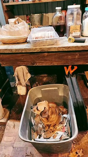 Baking Virginia Beef Meatballs Off Grid