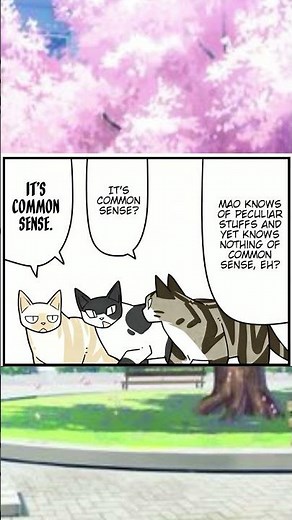 I am a Cat 🐱: Cat's and flower viewing