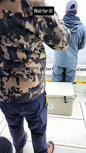 52 reactions · 3 comments | Walleye are biting! Let's go fishing #greatlakes #fishing #goodtimes #walleye #lakesuperior #charterfishing #guidelife | Parker Bambenek | Facebook