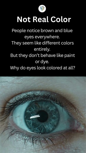 Eye Color Isn’t What It Seems