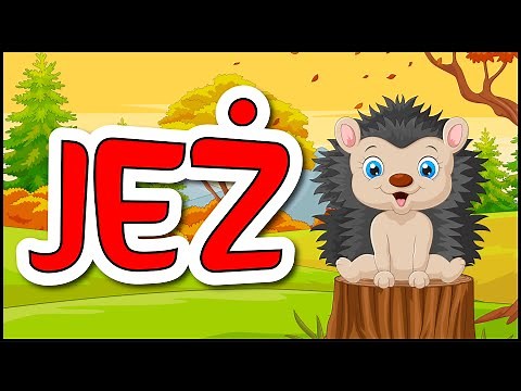 Jeż film edukacyjny dla dzieci 🦔🦔🦔