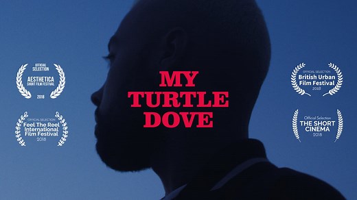 My Turtle Dove