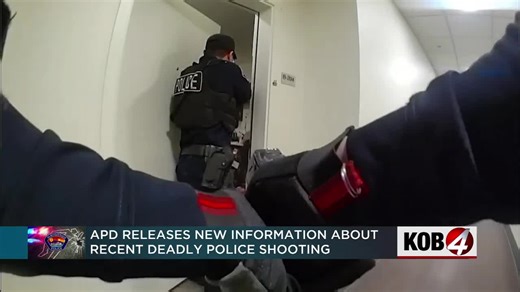 APD releases details after deadly police shooting during alleged hammer attack