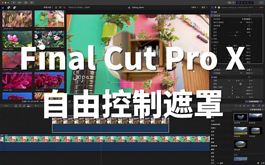 【Final Cut Pro 基础教程】FCPX自由控制遮罩