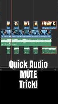 Here's a Cool Audio Mute Trick! - DaVinci Resolve
