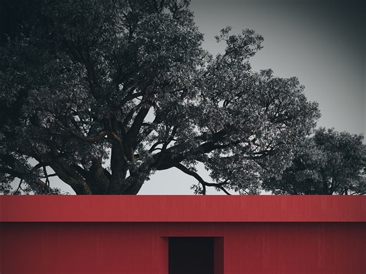 散布很多模型的随机化不同显示