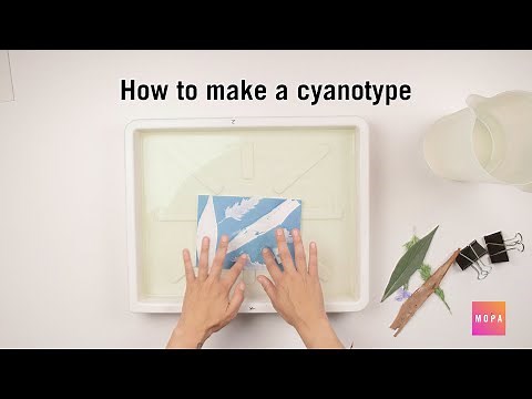 In Process: Cyanotype