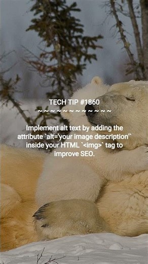 SEO Hack: Image Alt Text | 2025-12-29 | #Shorts #programmingtips #systemadmintips #dotKey