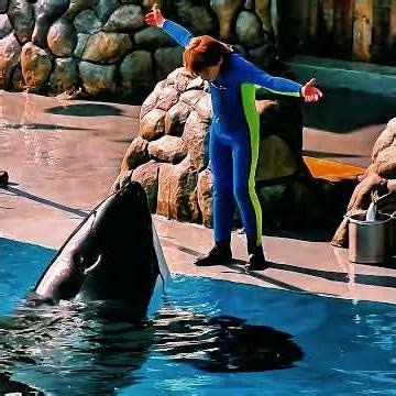 Free Willy celebrates the friendship between a boy and an orca and represents freedom and