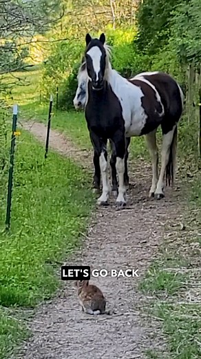 14M views · 461K reactions | The most suspenseful stand off on the internet  watch 'til the end  | Ozzy Man Reviews | Facebook