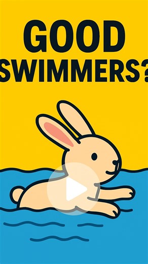 Animal Videos on Instagram: "Fact👉 Rabbits might not be the first animals you think of when it comes to swimming, but they’re actually surprisingly capable in the water. Their strong back legs allow them to paddle with quick, efficient strokes, and they can use this skill to escape predators or cross streams when needed. However, swimming is usually a last resort, since rabbits can easily become stressed and cold in water. In the wild, their occasional swims are about survival, not recreation —
