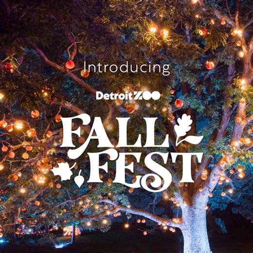 5.4K views · 1.6K reactions | This October, FALL for the Zoo in a whole new way at Fall Fest! | Detroit Zoo | Facebook