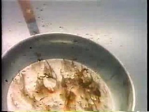 Dawn Dishwashing commercial with Wayne Knight