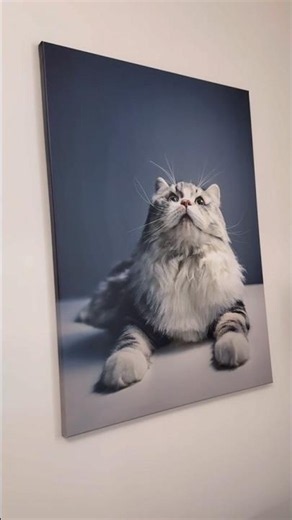 Your Custom Canvas Prints from CANVASDISCOUNT.com