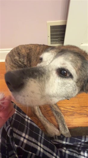 idk why but i thought this was so funny