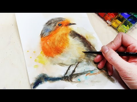 Watercolor robin bird painting tutorial/ How to/ step by step