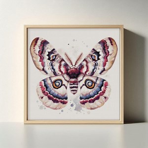 Venezuelan Poodle Moth Butterfly Cross Stitch Pattern: Botanical Art | Instant Download (PDF/XSD) - Etsy