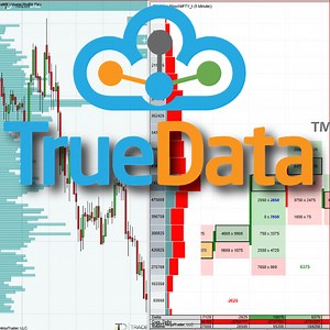 How to Get NSE (Indian Stock Exchange) Data Into NinjaTrader 8 Platform