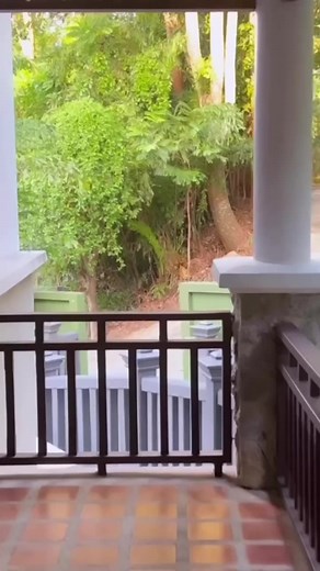 11K views · 44 reactions | I stayed at the best room possible at one of the best resorts in Phuket on my recent holiday. I thought it would be blasphemous to not give u a room tour! So sharing the full video on my YouTube channel! https://youtu.be/tq_0rLnNawc | Chhavi Mittal | Facebook