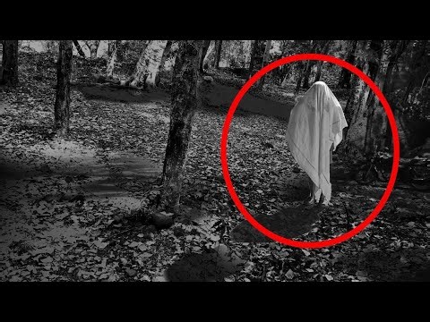 TOP 19 Real Horror Clips That Will Terrify You