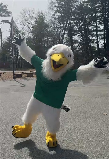 Endicott College Official on TikTok