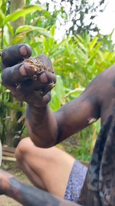 91K views · 22K reactions | Firman Real on Reels | Facebook