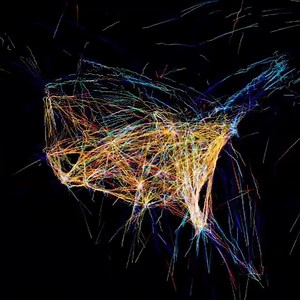 Flight Patterns by Aaron Koblin The paths of the air traffic over North America http://aaronkoblin.com/work/flightpatterns | MapScaping