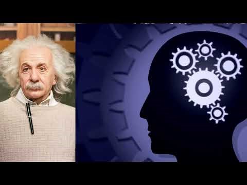 Why the Human Mind Works the Way It Does | Psychology & Brain Mysteries Explained