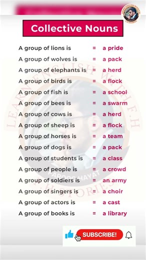 Collective Nouns in English | Group Names of Animals & People | Easy English