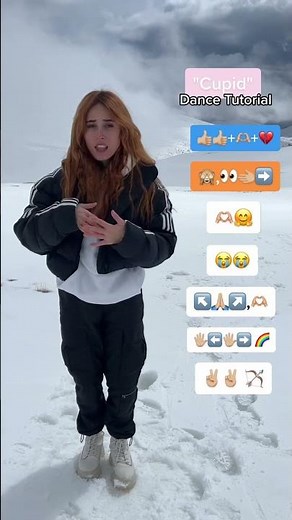 "Cupid" Dance Tutorial | Andra Gogan