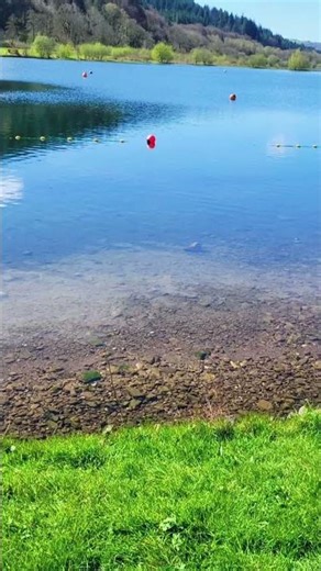 Camping with a view hits different… Book Now at https://www.springvalleylakes.co.uk #camplife #tent
