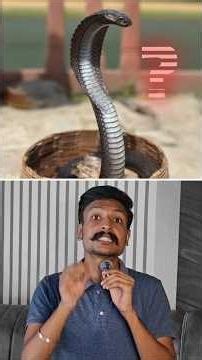 The 60 Million Year Story Behind Human Vision 🐍 👀 #evolution #science #human