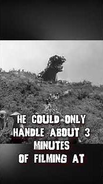 Top 5 Facts About Godzilla 1954!