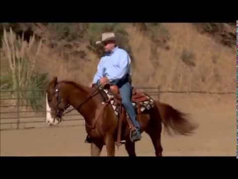 Body Control - Moving the Horse's Hips