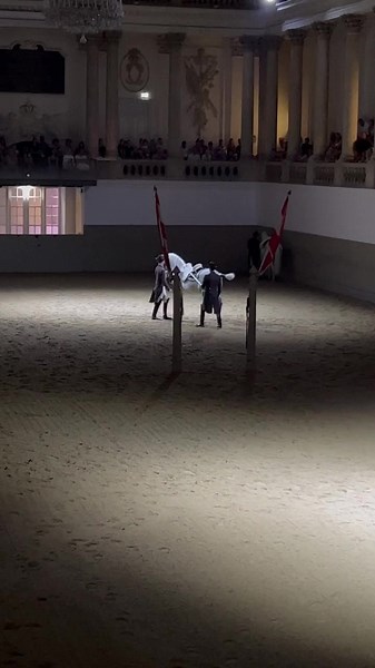 The Lipizzaners and their Riders are on a small tour today: the Lipizzanergala Am Heldenberg north of Vienna. The lucky ones who can see the performance tonight can expect this: a perfect Capriole at Hand 👏👏👏 www.srs.at #spanishridingschool #lipizzaner #iconic #white #stars #horses #horselovers #horsesofinstagram #equestrian #art #riding #tour #tourism #attraction #visit #highlights #performance #entertainment #austria #vienna #imperial #tradition | Spanische Hofreitschule