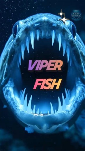 Viperfish: One of the Deep Ocean’s Strangest Predators. #viperfish #marinelife #oceanlife #sealife