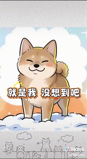 可爱的萨摩耶狗狗变身瞬间