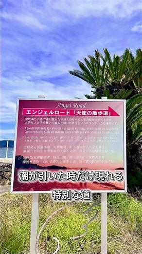 一度は訪れたい日本の絶景スポット4選。山・海・自然が織りなす景色に、心が癒されました。次のおでかけの参考にしてみてください✨#日本の絶景 #絶景スポット#旅行 #一人旅 おでかけ記録#travel