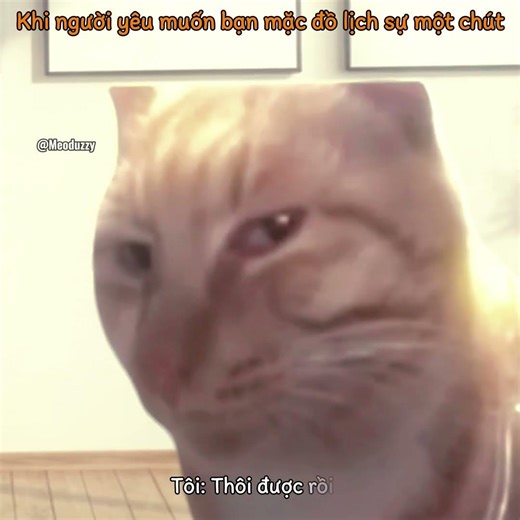 Đã đủ lịch sự chưa em? #meme #catmeme #cat