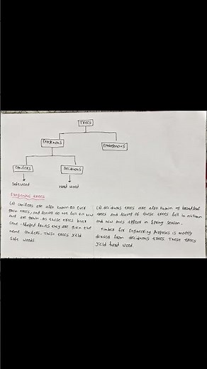 You Won't Believe This Science Behind Timber