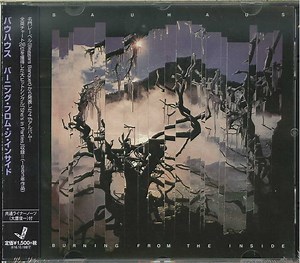 Bauhaus - Burning From The Inside
