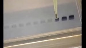 PCR技术视频教程