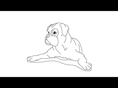 How to draw a boxer - Easy step-by-step drawing lessons for kids