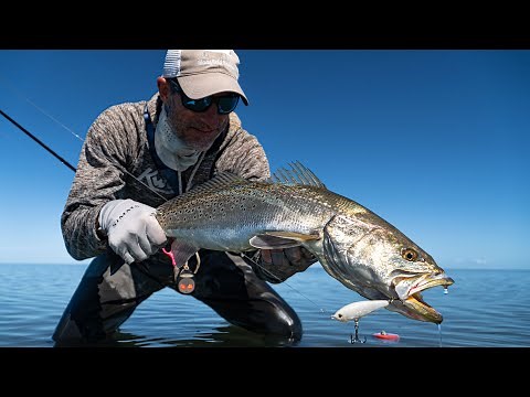 Fishing the First Cold Front with Capt Wayne Davis