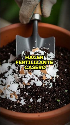 🌿Cómo hacer FERTILIZANTE CASERO con lo que ya tienes en tu cocina