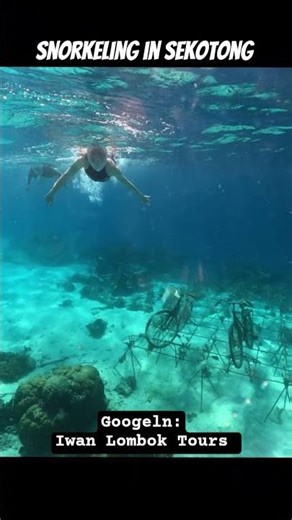 Snorkeling in Sekotong #travel #iwanlomboktours #lombok