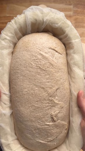 (mostly) freshly milled sourdough attempt one using the grain mill I recently inherited from my grandmother. I’ve since tracked down local hard white wheat and have my first fully freshly milled loaf snoozing in the fridge for a cold proof / stay tuned for that one 🤝 for this loaf: 75% freshly milled local organic hard red wheat 25% organic bread flour @baystatemilling 92% hydration 2% @bajagoldsaltco 1hr fermentolyse, old fashioned hand mixing because I still can’t decide on what mixer to buy,