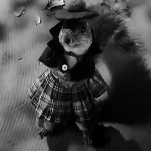 The Great Rupert (1950) | Cult Cinema Classics