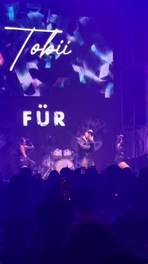 Hotel Lobby #Tobii #Furcafe #Chiangmai #CNXNightlife