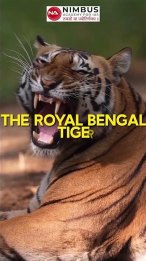 “Jim Corbett National Park 🐅 | India’s Oldest Tiger Reserve Explained!”#tigerreserve